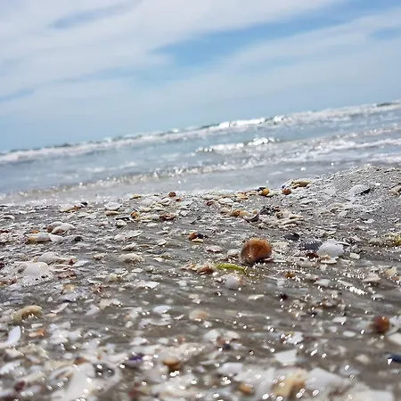 Biandada * Năvodari