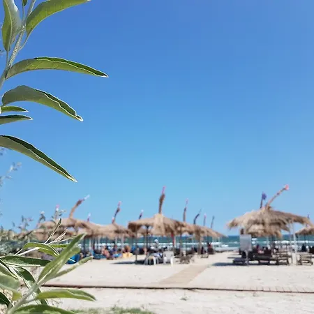 Biandada * Năvodari