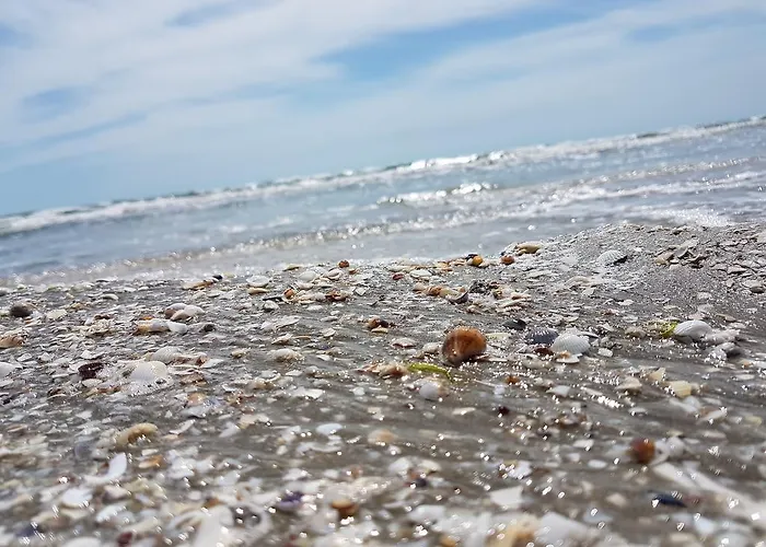 Biandada * Năvodari