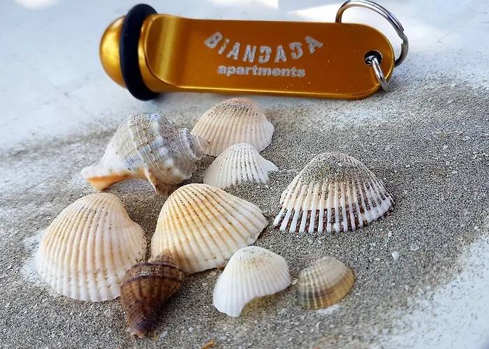 Biandada * Năvodari