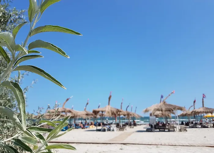 Biandada * Năvodari