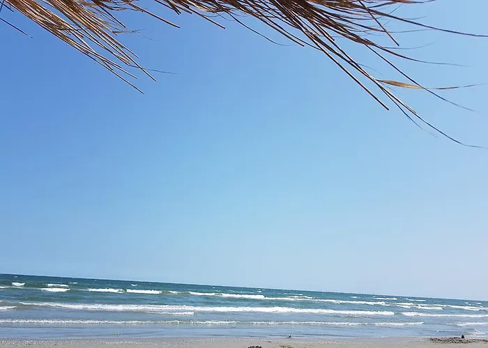 Biandada דירה Năvodari